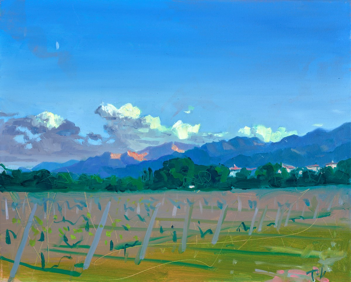 Open skies