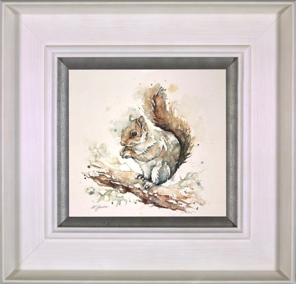 Grey Squirrel with Nut (Framed)