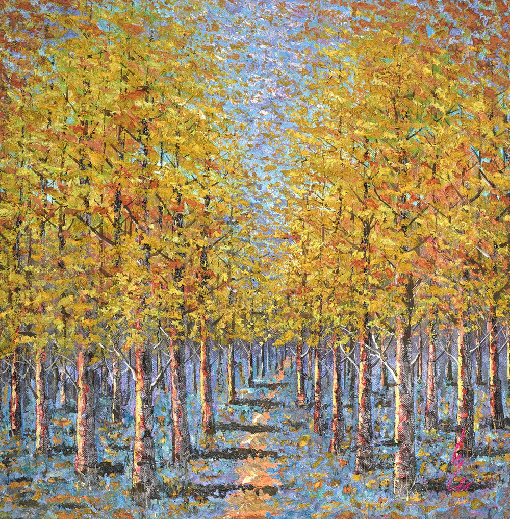 A Woodland Pathway
