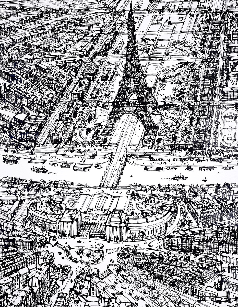 Trocadero Vision Above The Seine