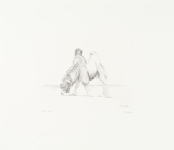 Dromedary from Animals in the Zoo, 1981