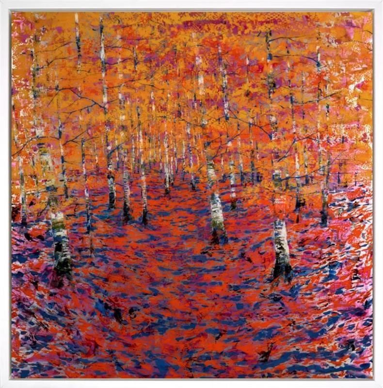 Sunny Day In The Woods (Framed)