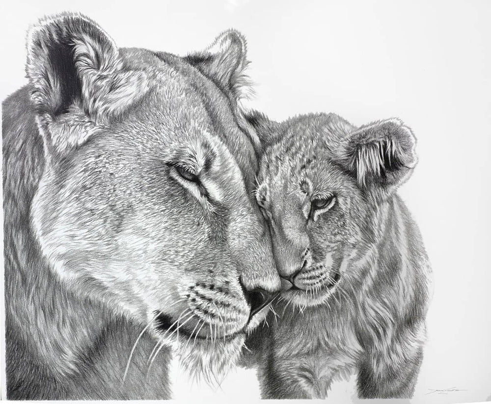 Lioness