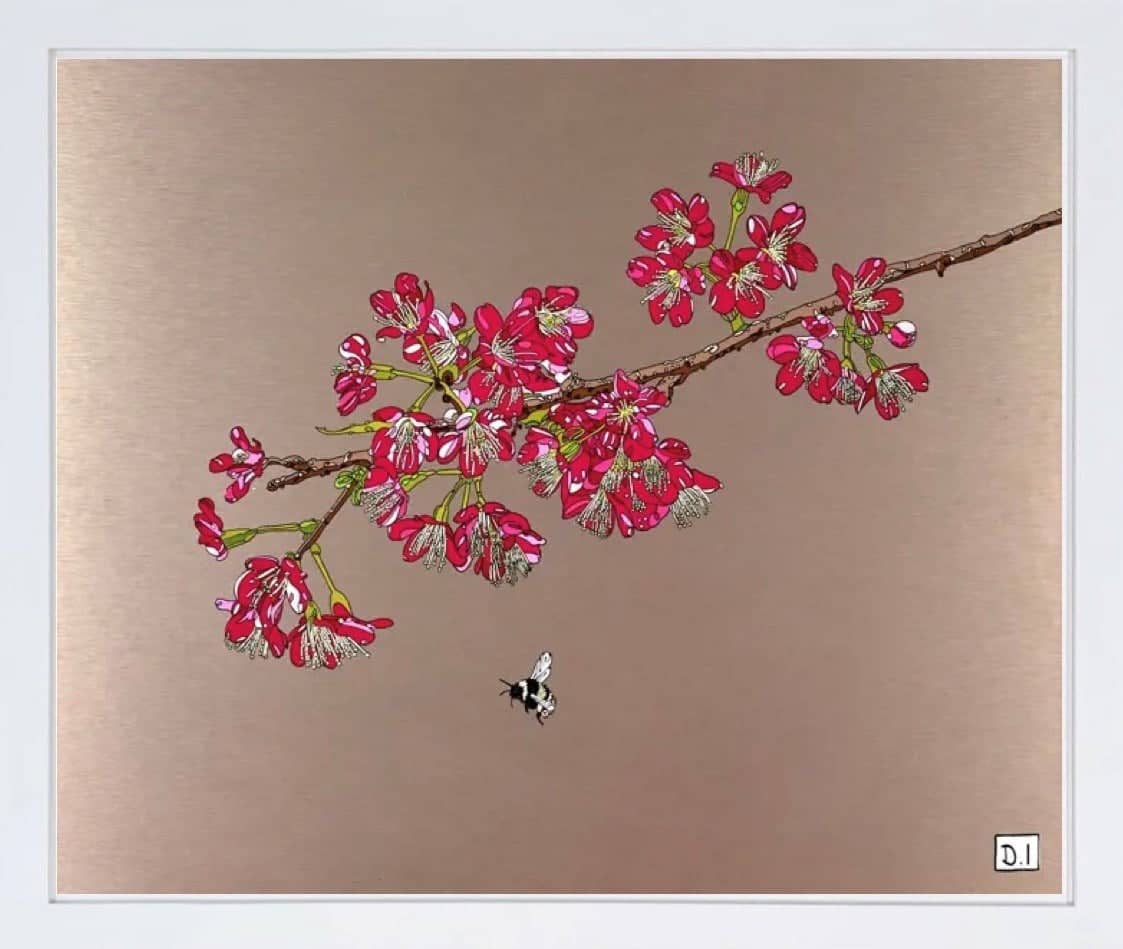 Cherry Blossom and Bee (Framed)