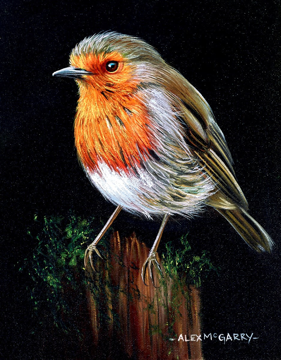 Robin