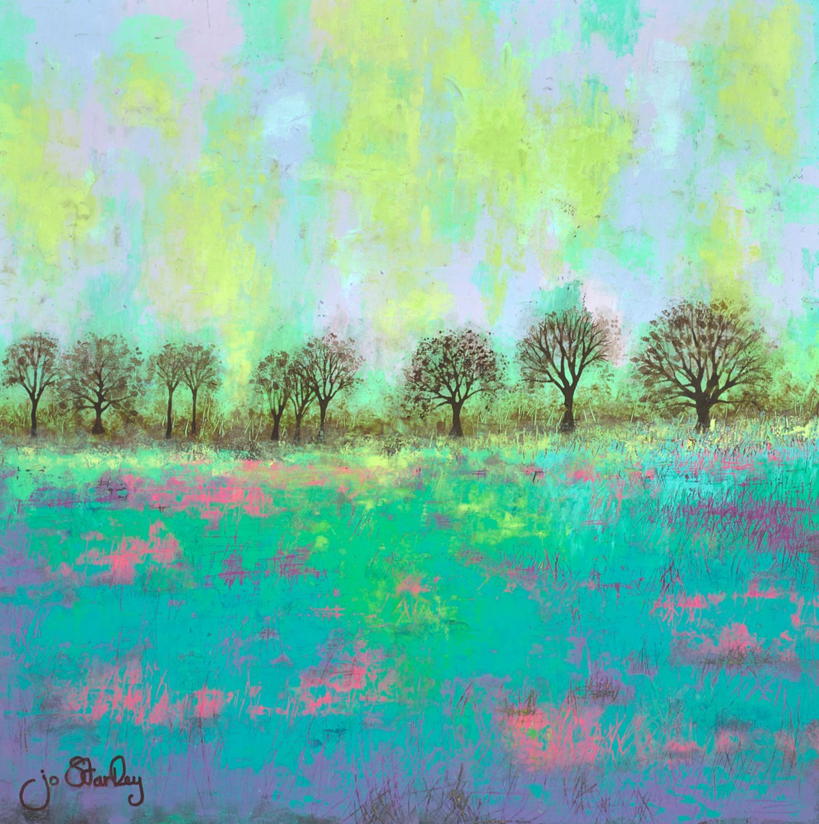 Field of Dreams