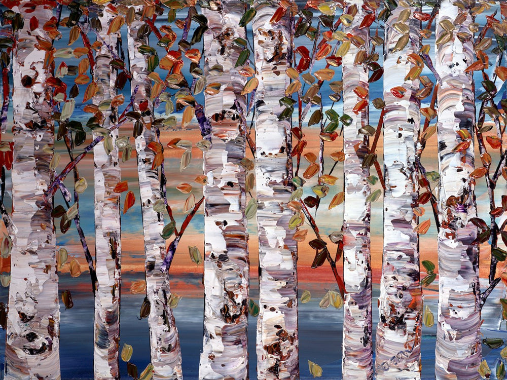 Silver birch in Summer