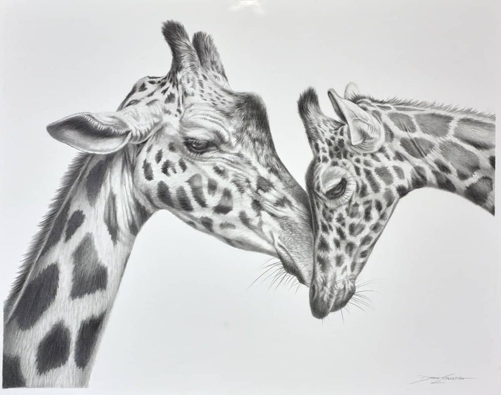 Giraffe Love