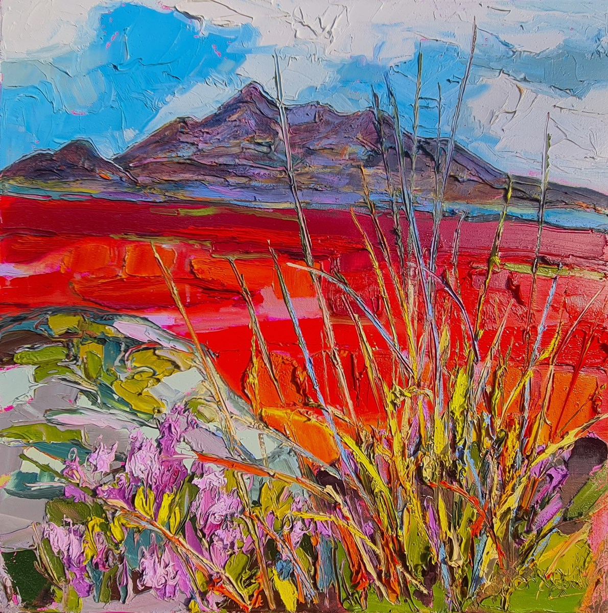 Heather, the Cuillins