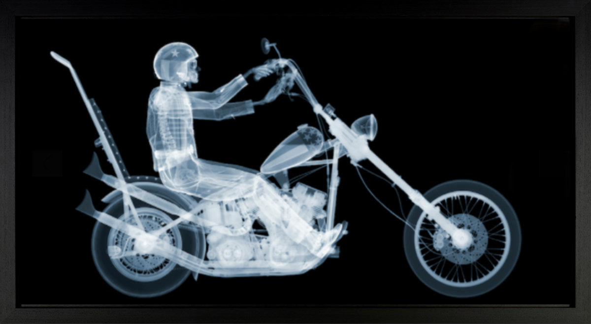 Easy Rider (Framed)