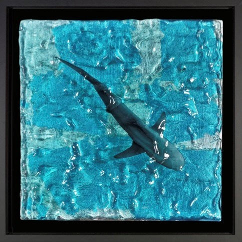 Evening Swim (Framed)