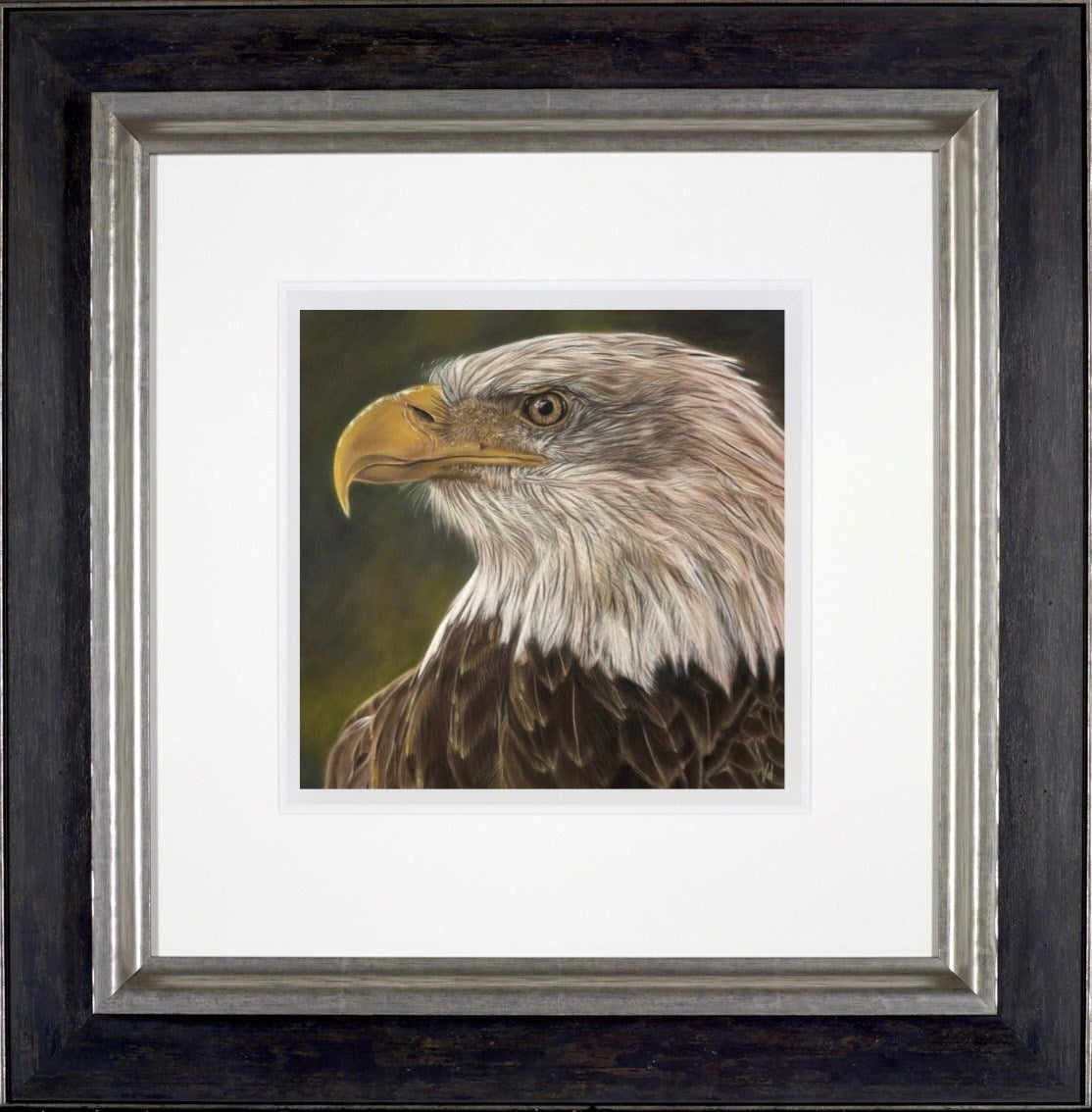 The Eagle Has Landed (Framed)
