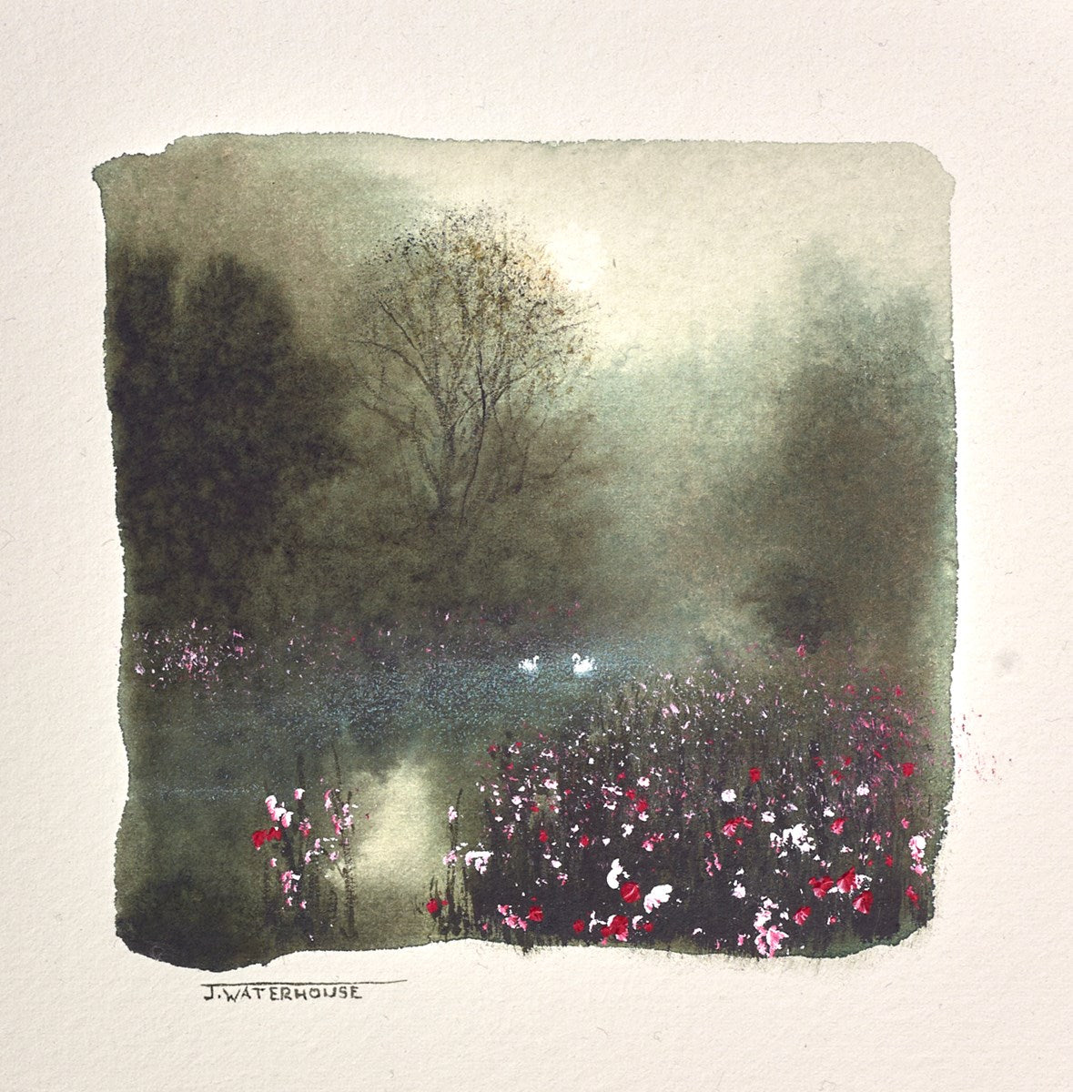 Our Delicate World (Study)