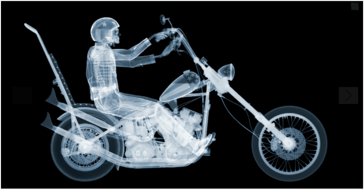 Easy Rider