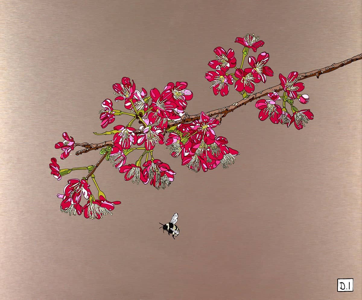 Cherry Blossom and Bee