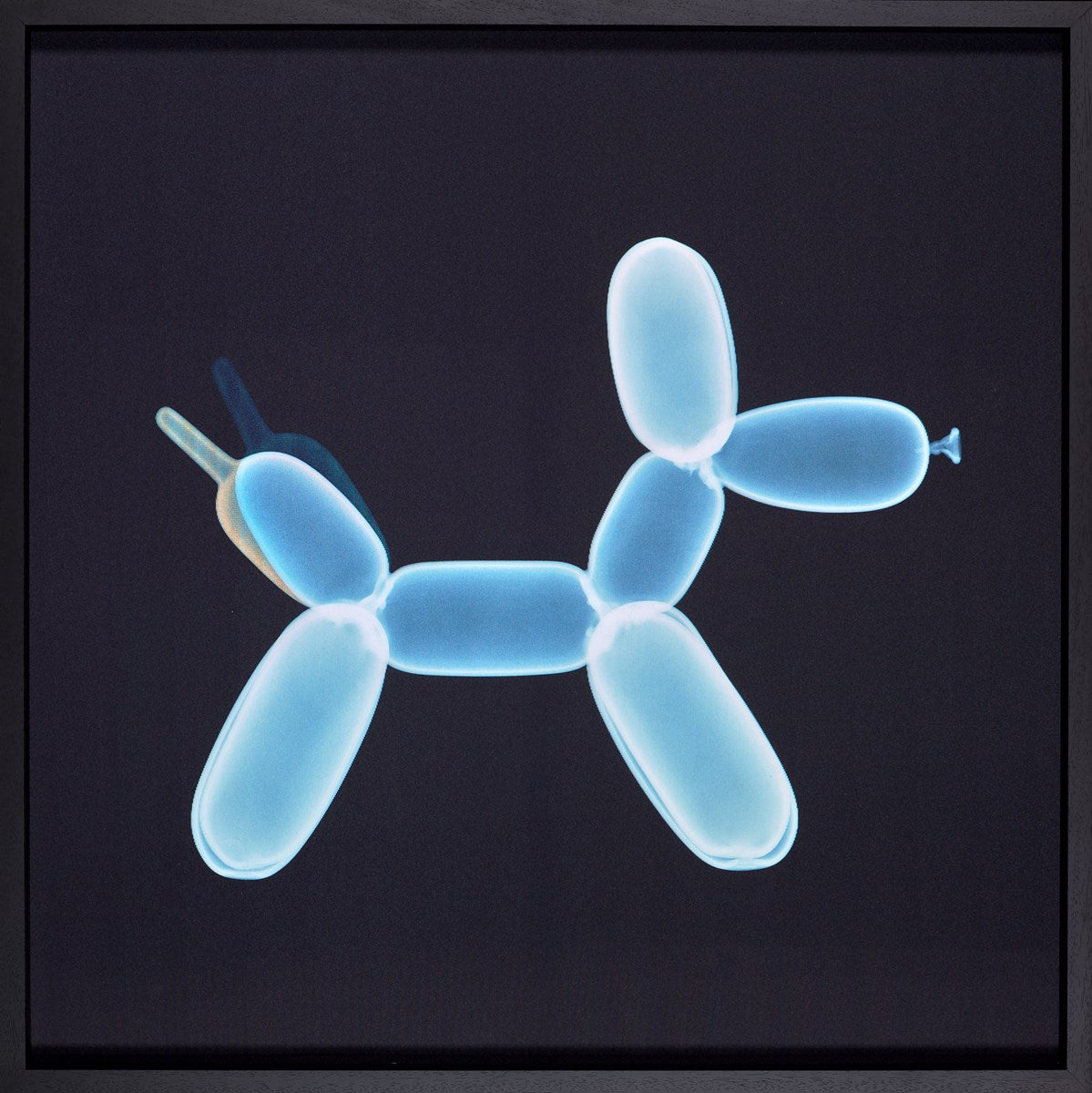 Waggin' Balloon Dog
