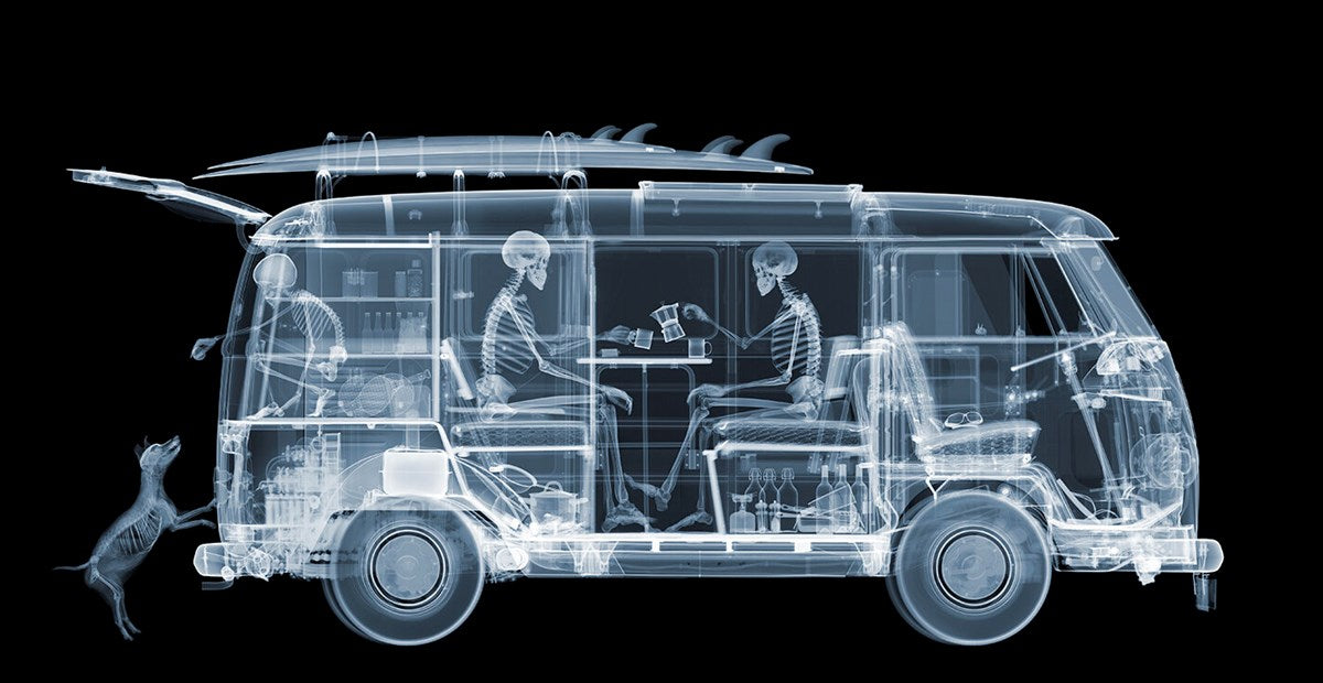 VW Camper Family