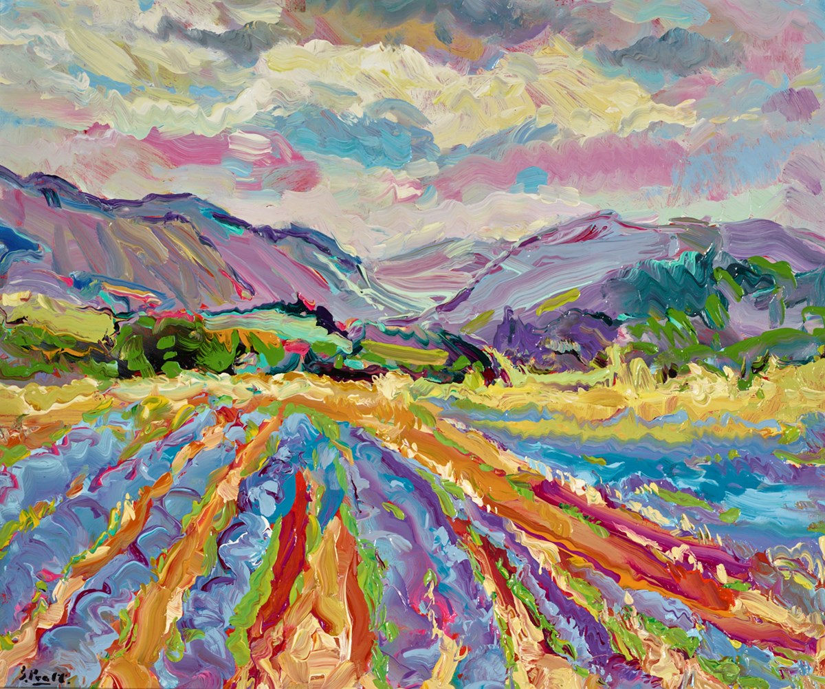 Lavender below Sault