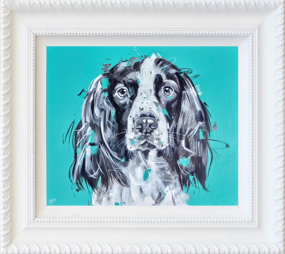 Springer Sparkle (Framed)
