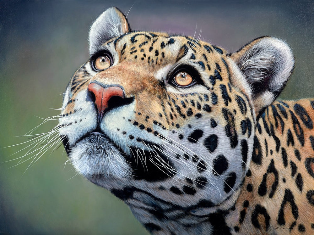 Jaguar King