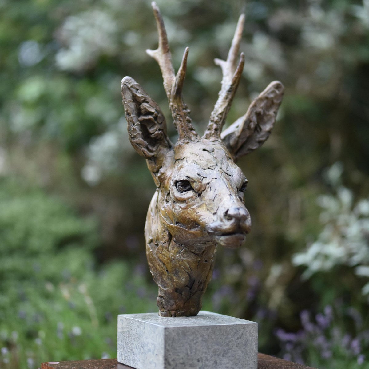 Roe Buck Head - 2021