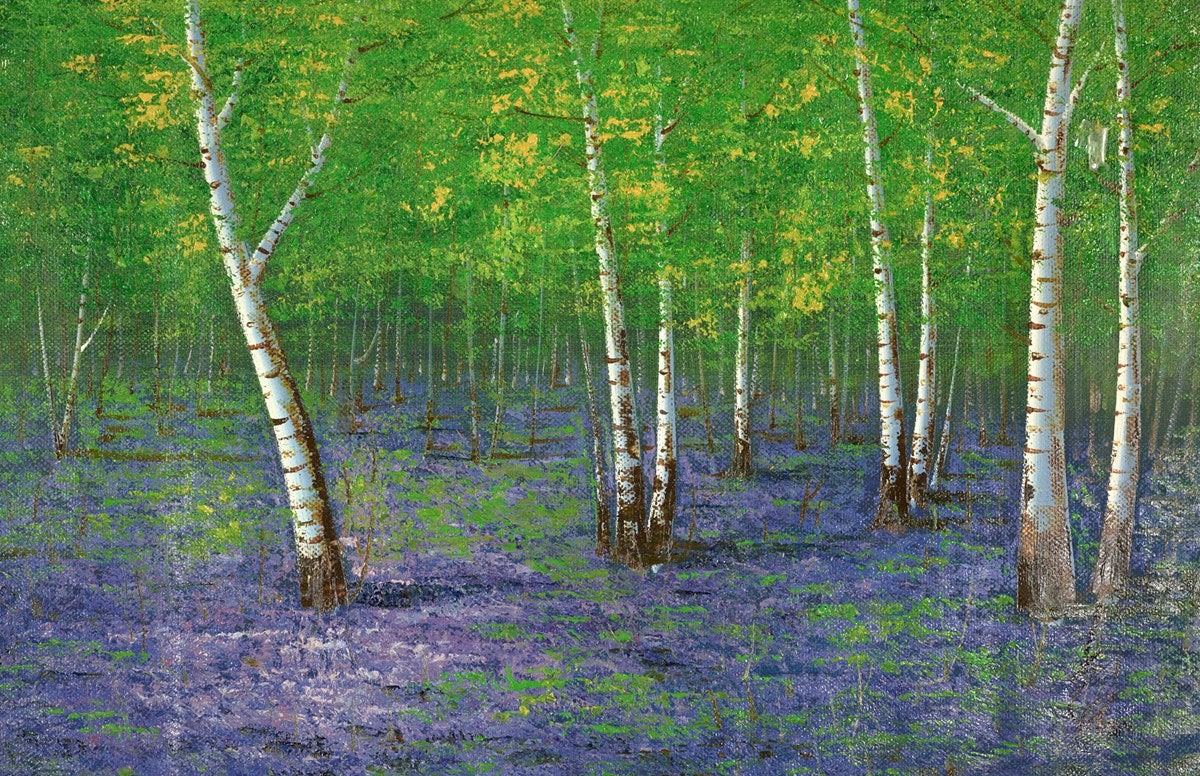 Silver Birches II