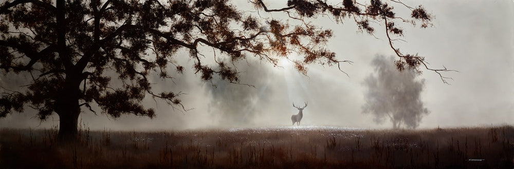 The Fleeting Glimpse