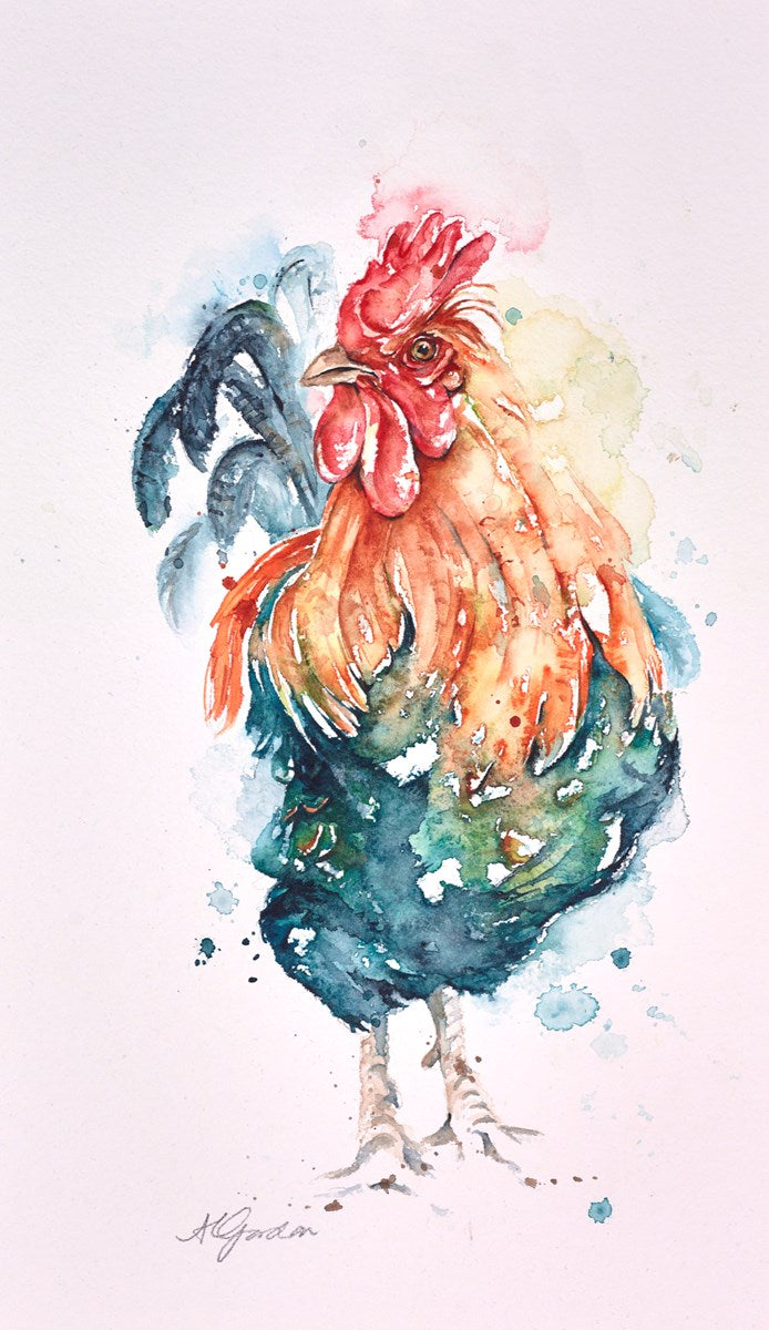 No Spring Chicken - Cockerel
