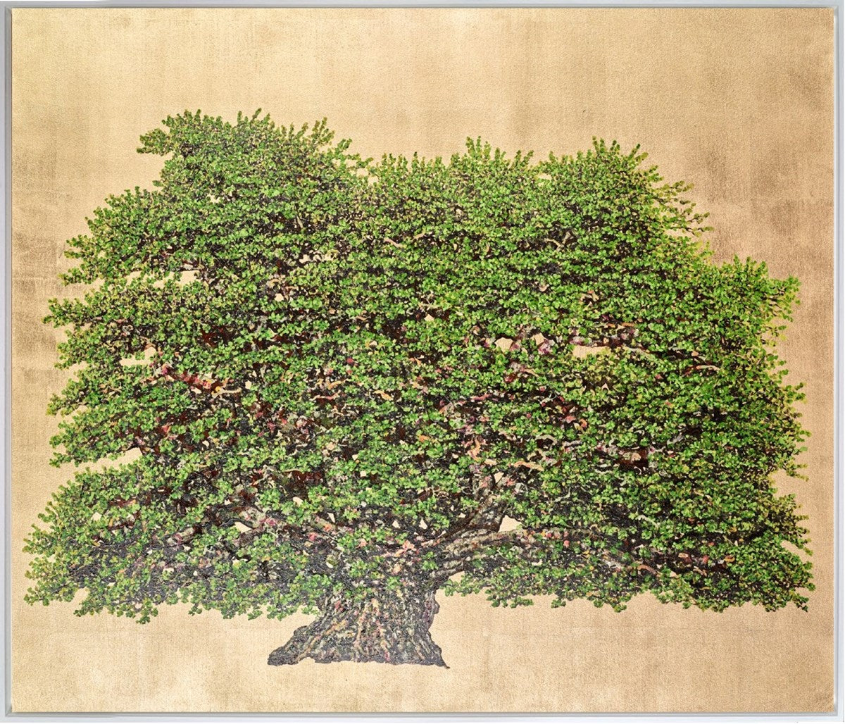 The Herman Oak (Framed)