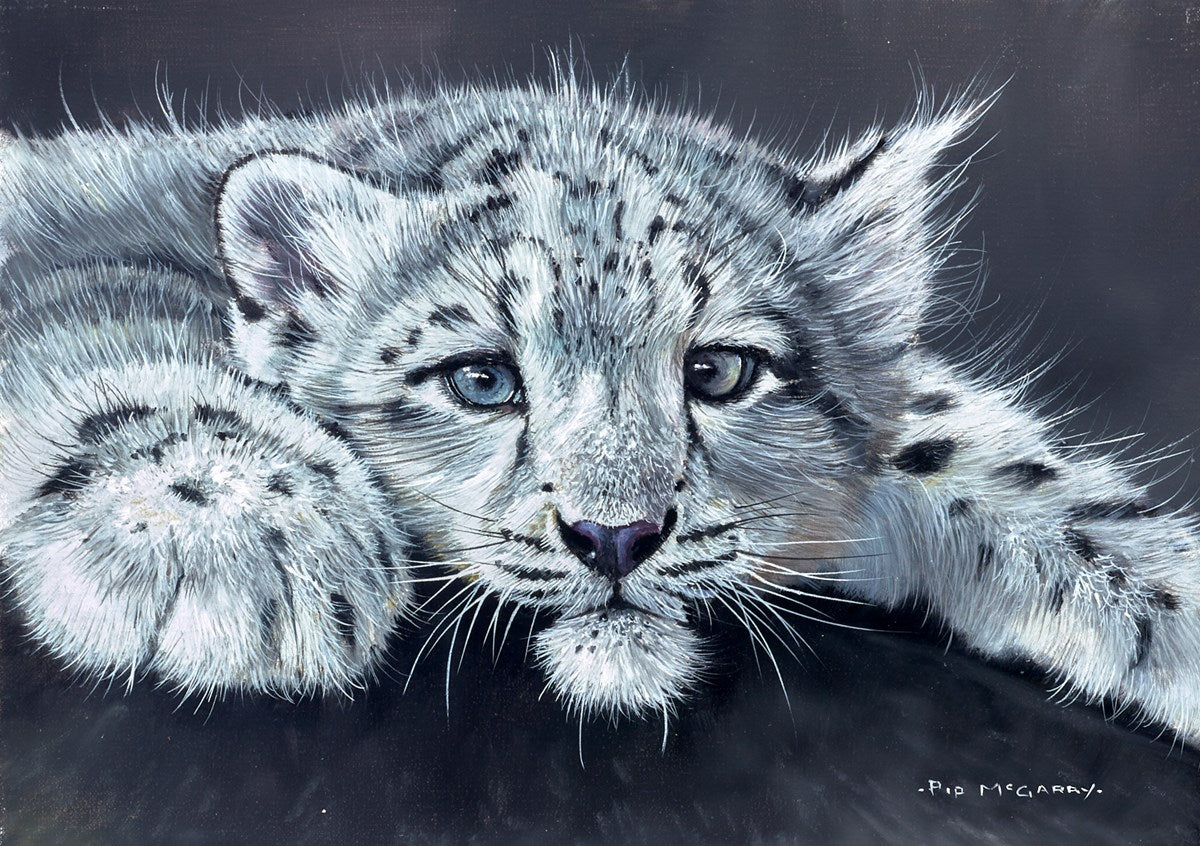 Snow Leopard Cub