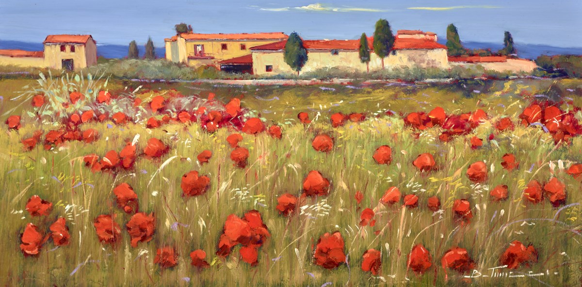 Campi di Rosso