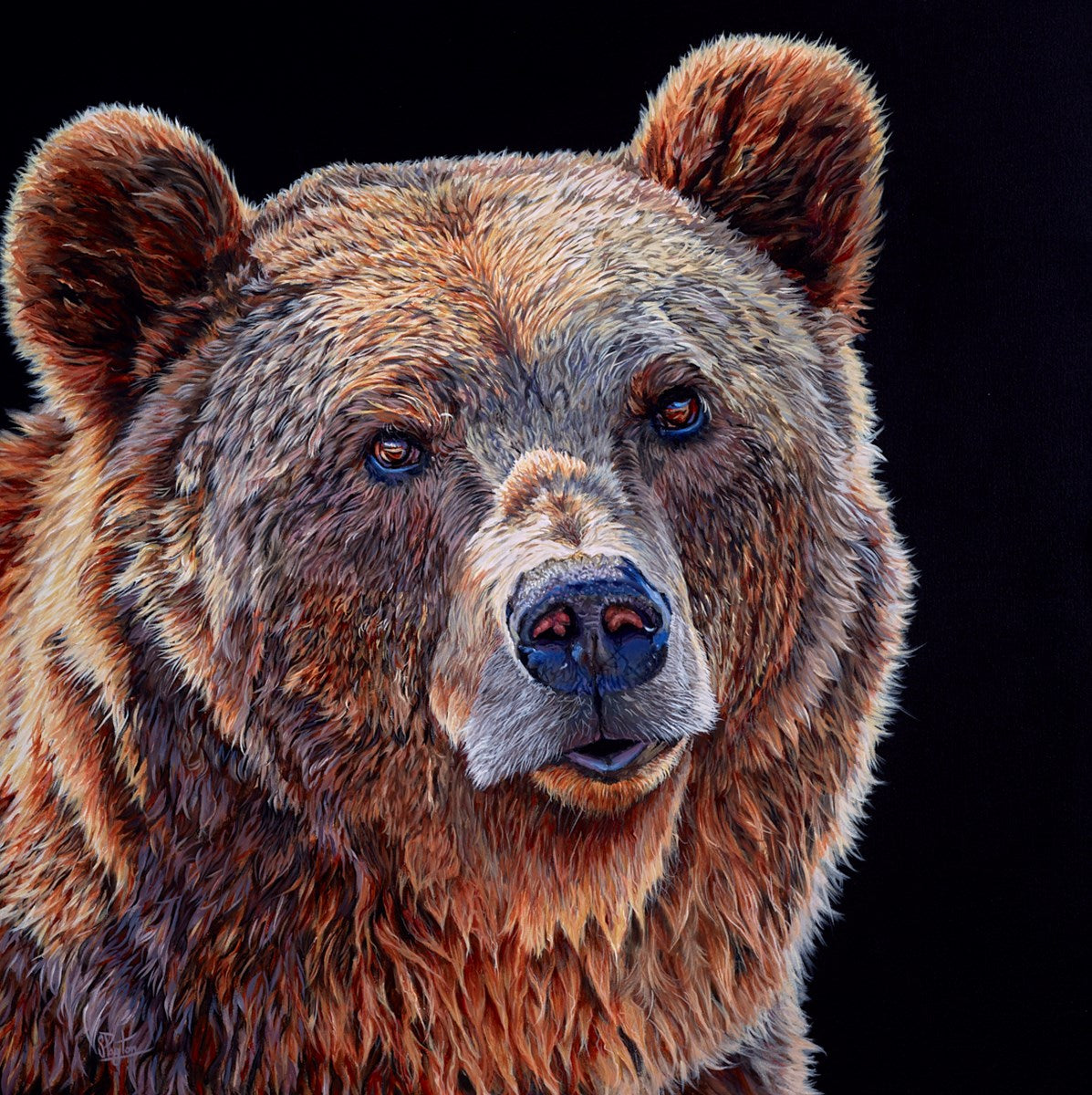 Just The Bear Necessities