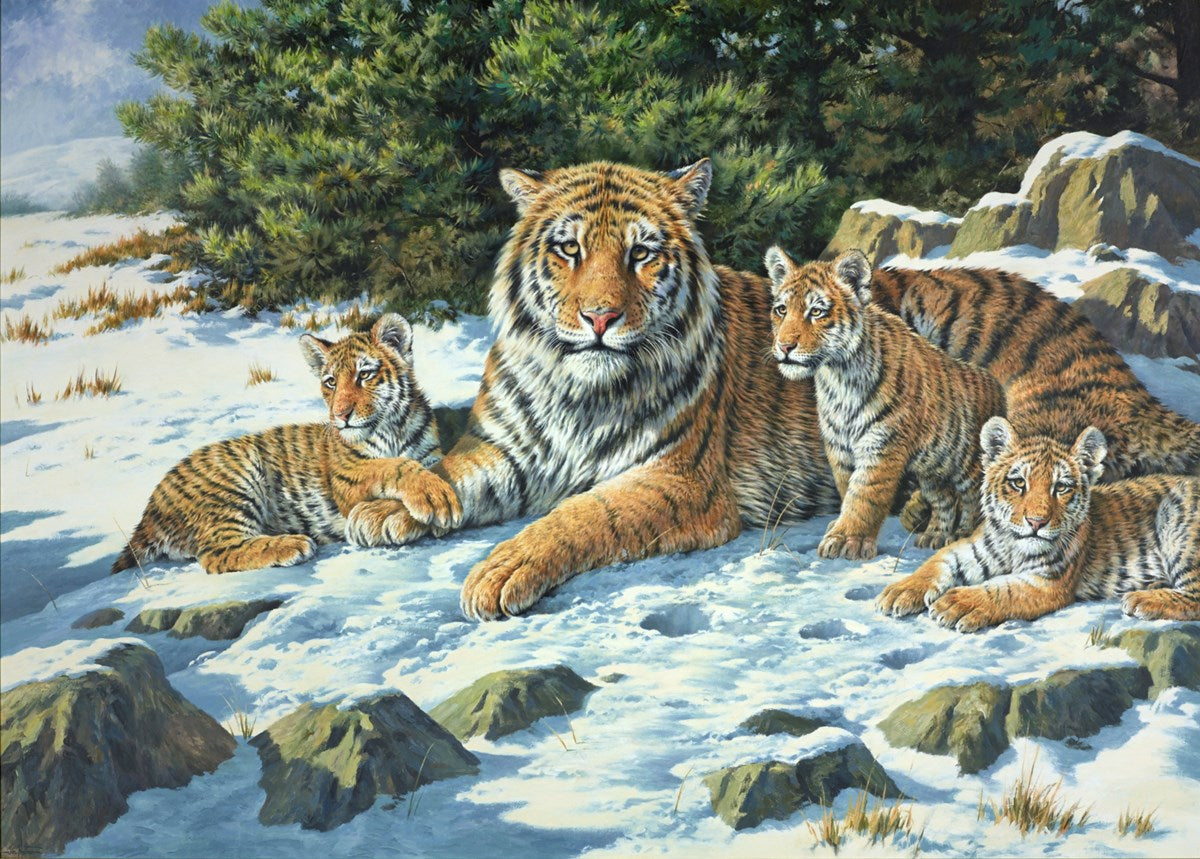 Tiger Family