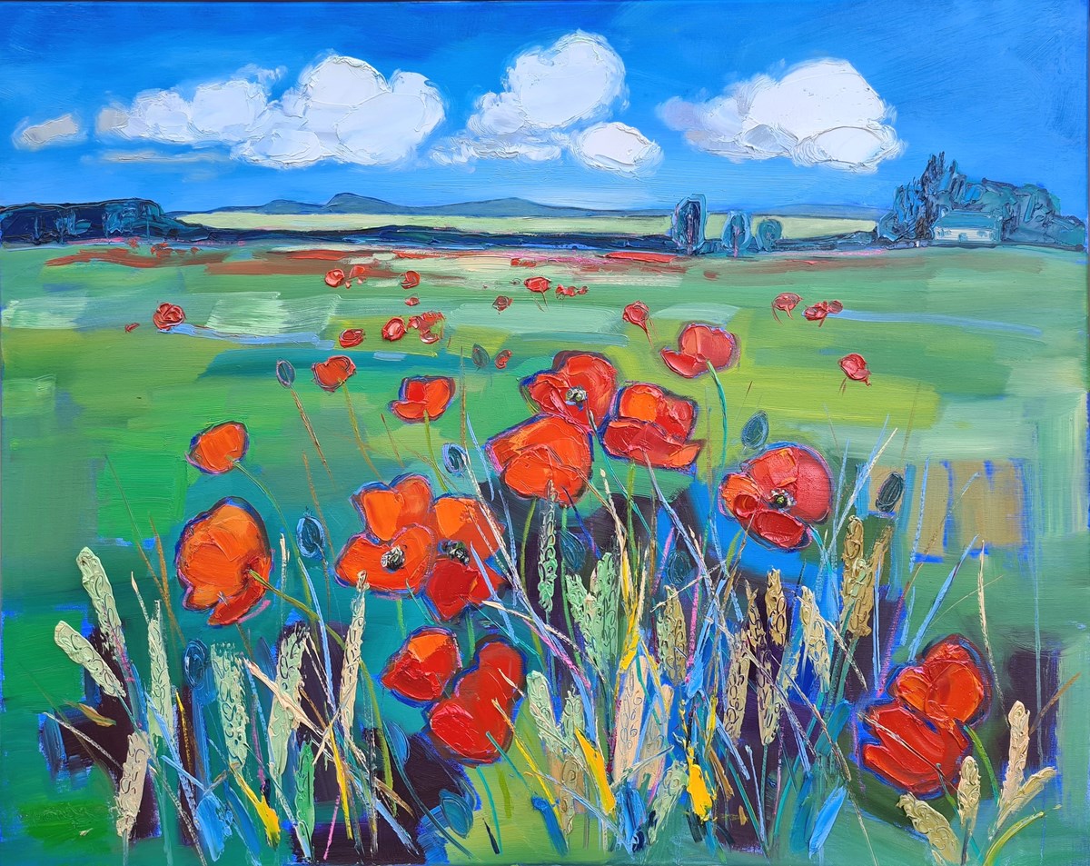 Poppies at Aberlady