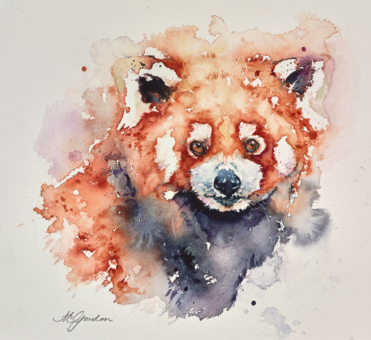Red Panda