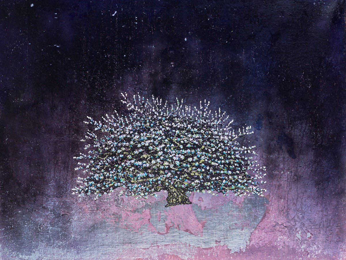 A Tree In Bloom VI