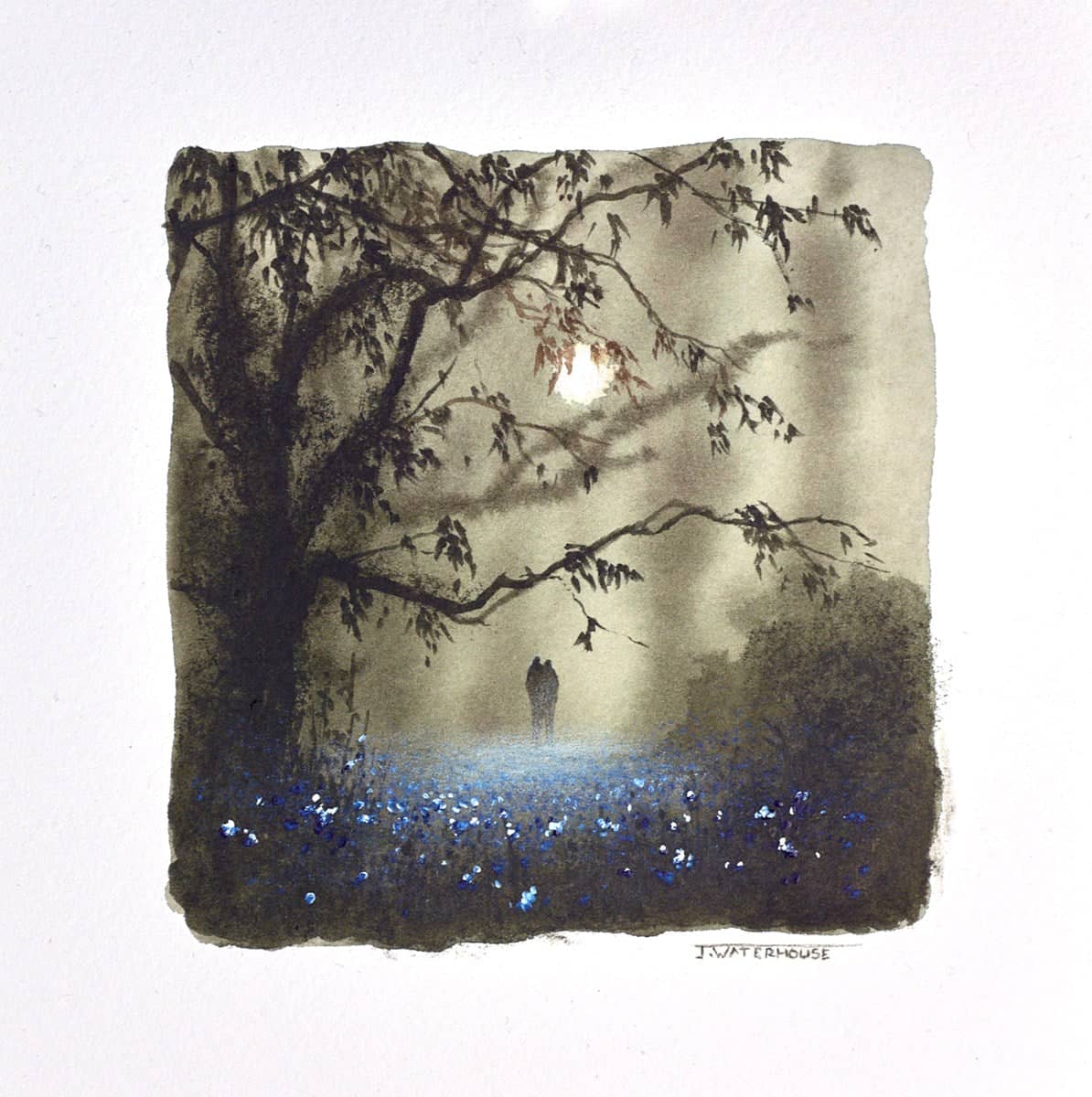 Bluebells (Study)