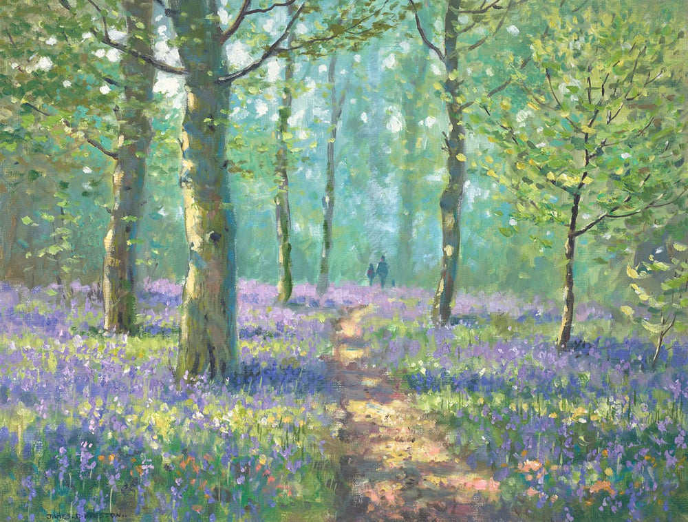 Bluebell Walk II