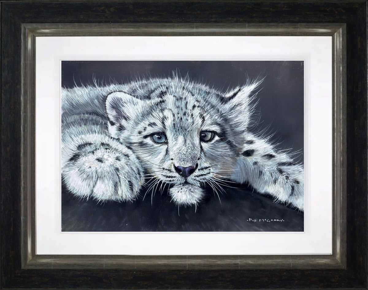 Snow Leopard Cub (Framed)