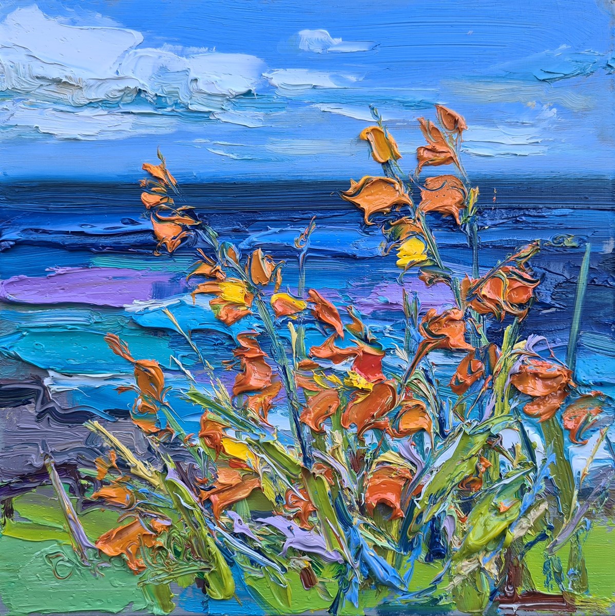 Montbretia on Clifftop