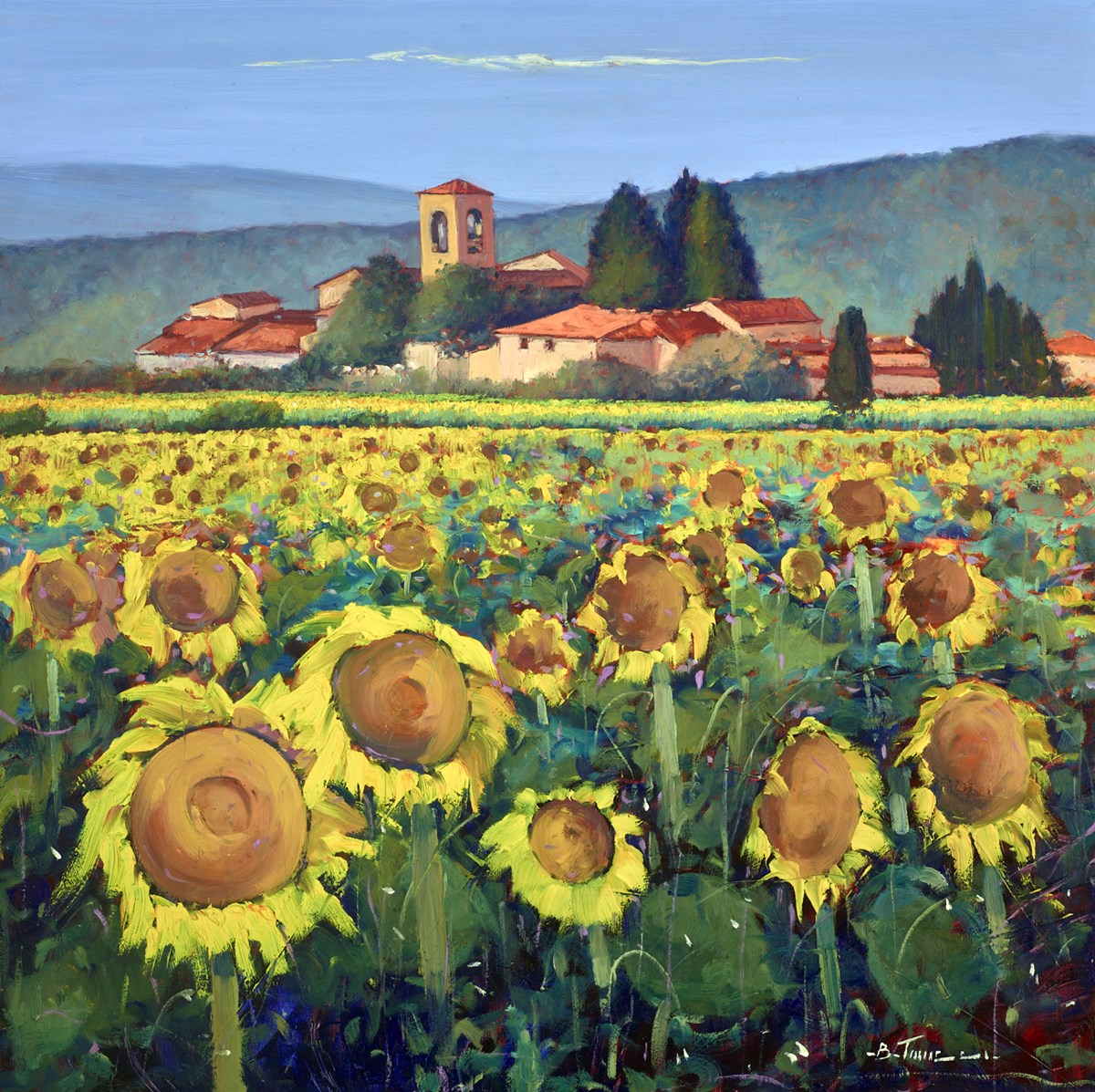 Girasoli soleggiati