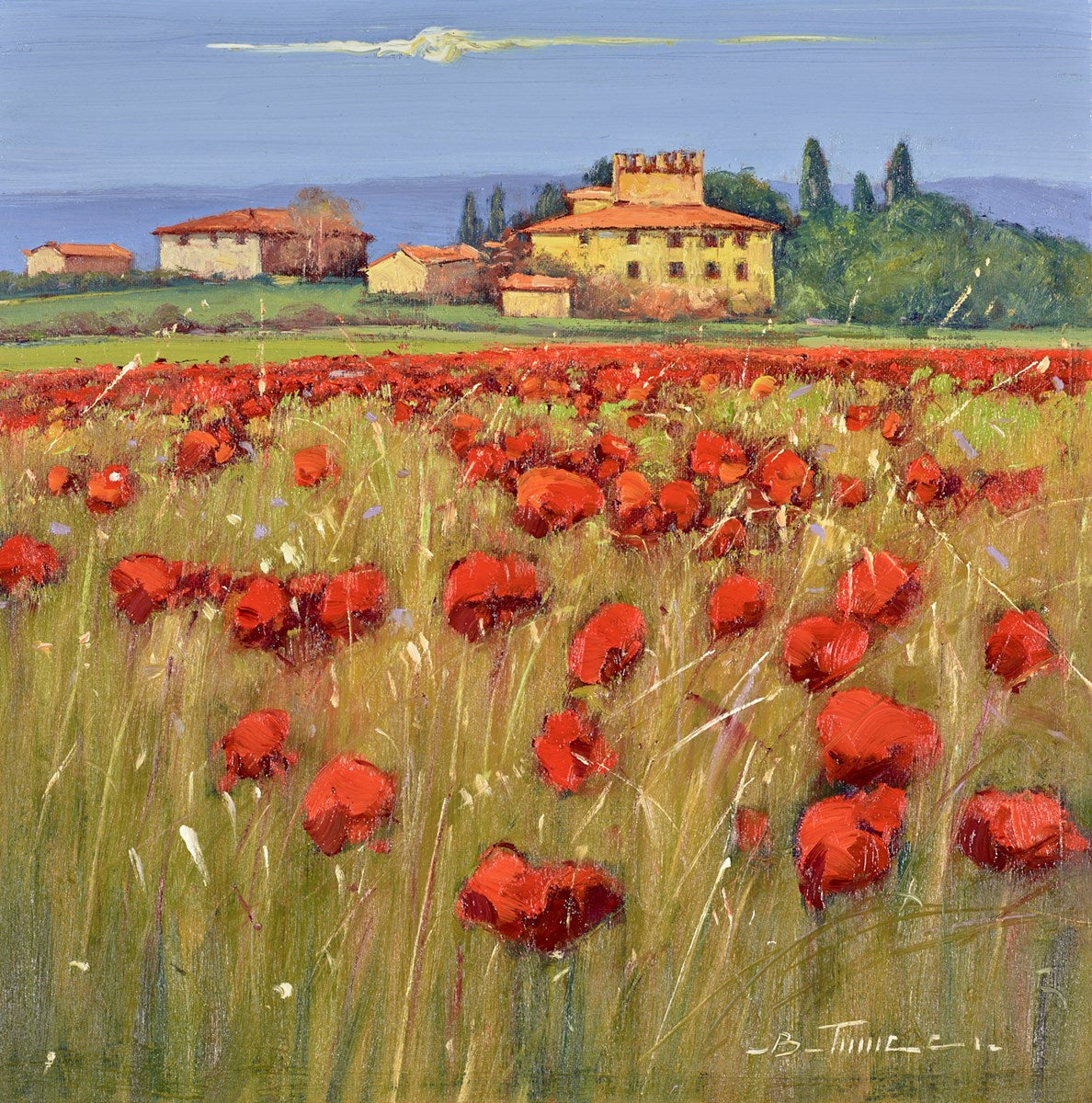 Campi di Papaveris