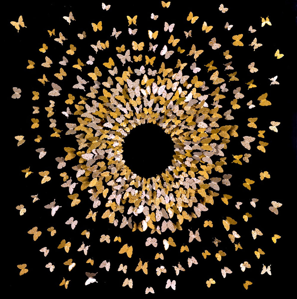 Gathering Butterflies II