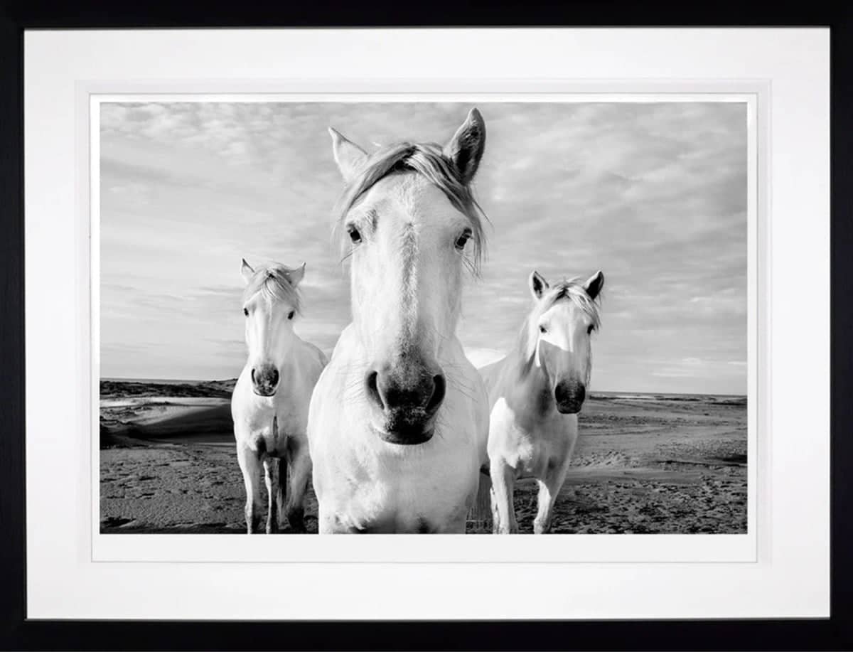 The Boys are Back in Town (Framed)