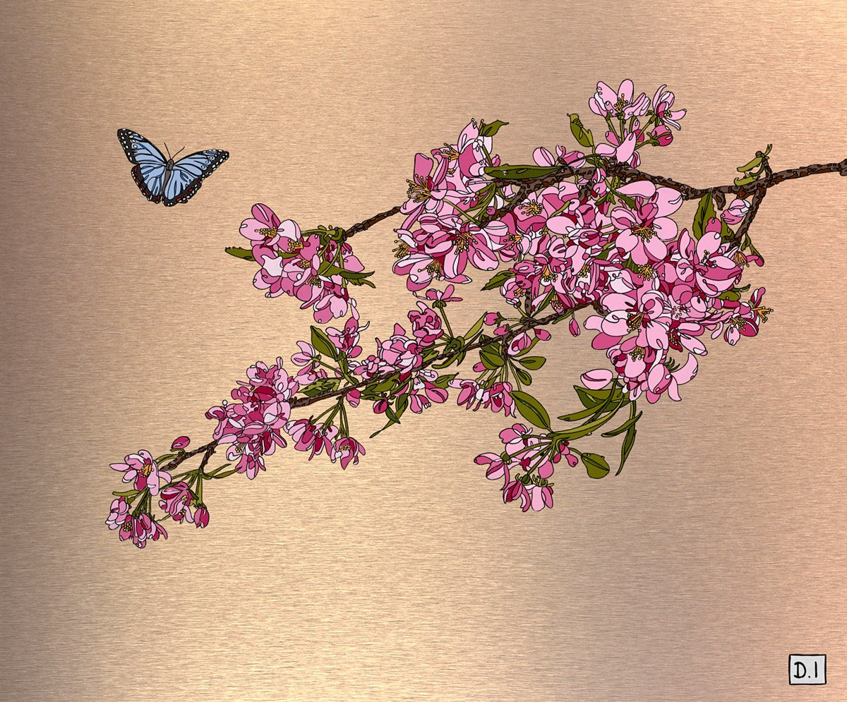 Cherry Blossom and Butterfly