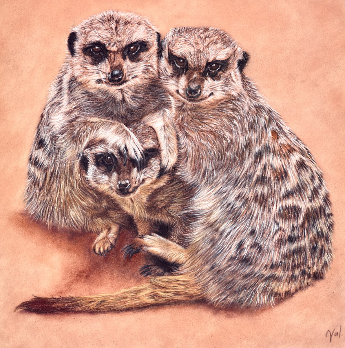 Meerkat Family Portrait