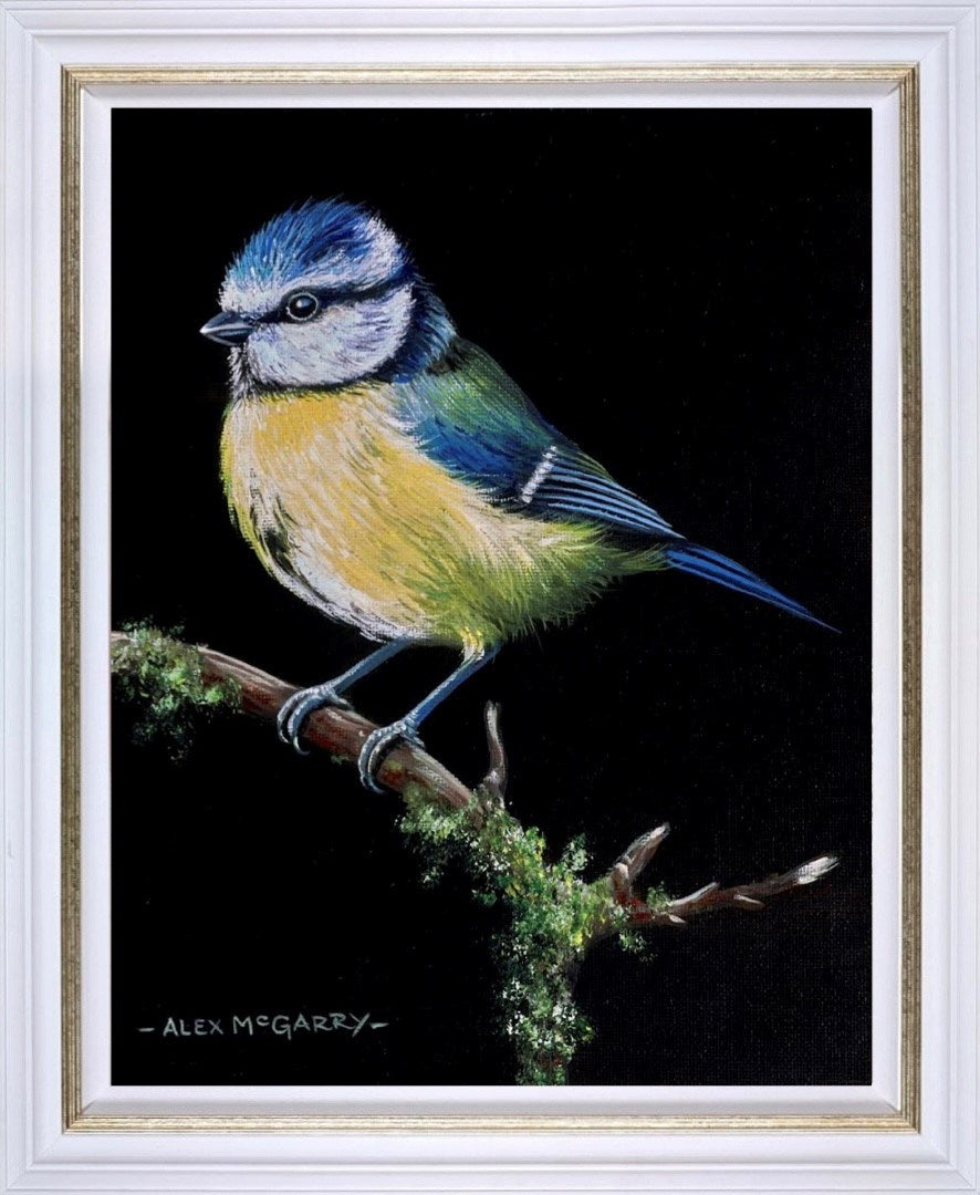 Bluetit V (Framed)