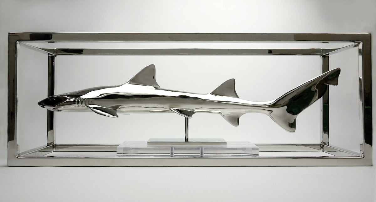 Leopard Shark