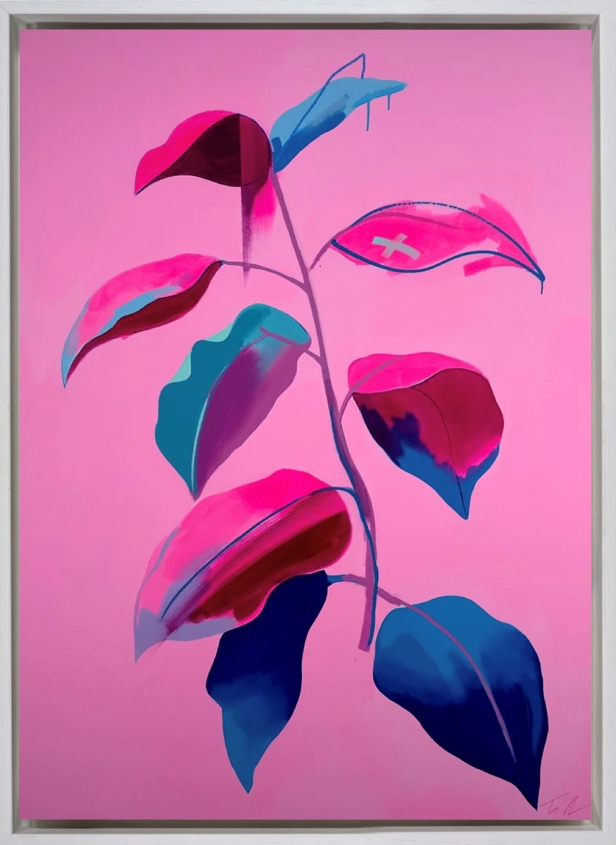 Pink Mercedes (Framed)