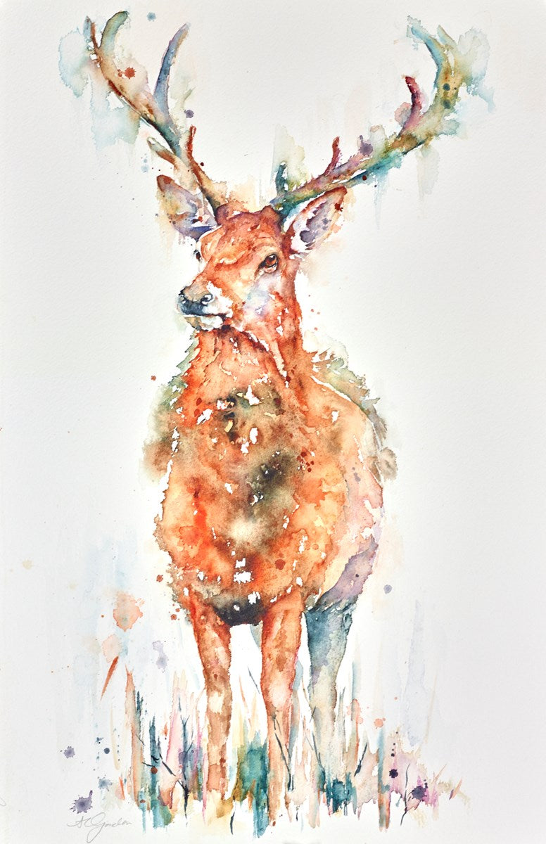 Autumn Red- Red Stag